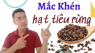 Mắc Khén - Hạt Tiêu Rừng - Đặc Sản Tây Bắc