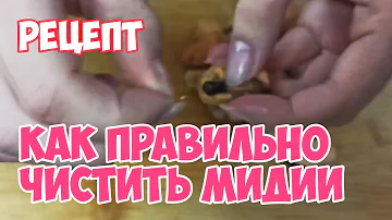 Как ПРАВИЛЬНО 🍤 Чистить МИДИИ? | 🔪 Искусство разделки: ЧИСТИТЬ или НЕТ? Cook #WithMe
