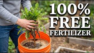 Never buy fertilizer again after seeing this