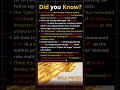 The $5,600 Peak is GONE: How Low Will US Gold Go? #goldprice #stocks
