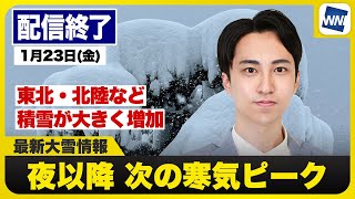 ウェザーニュースの配信のサムネイル画像