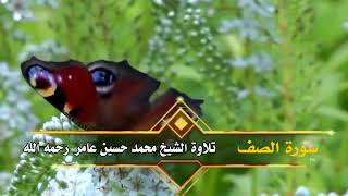 سورة الصف || الشيخ محمد حسين عامر رحمه الله