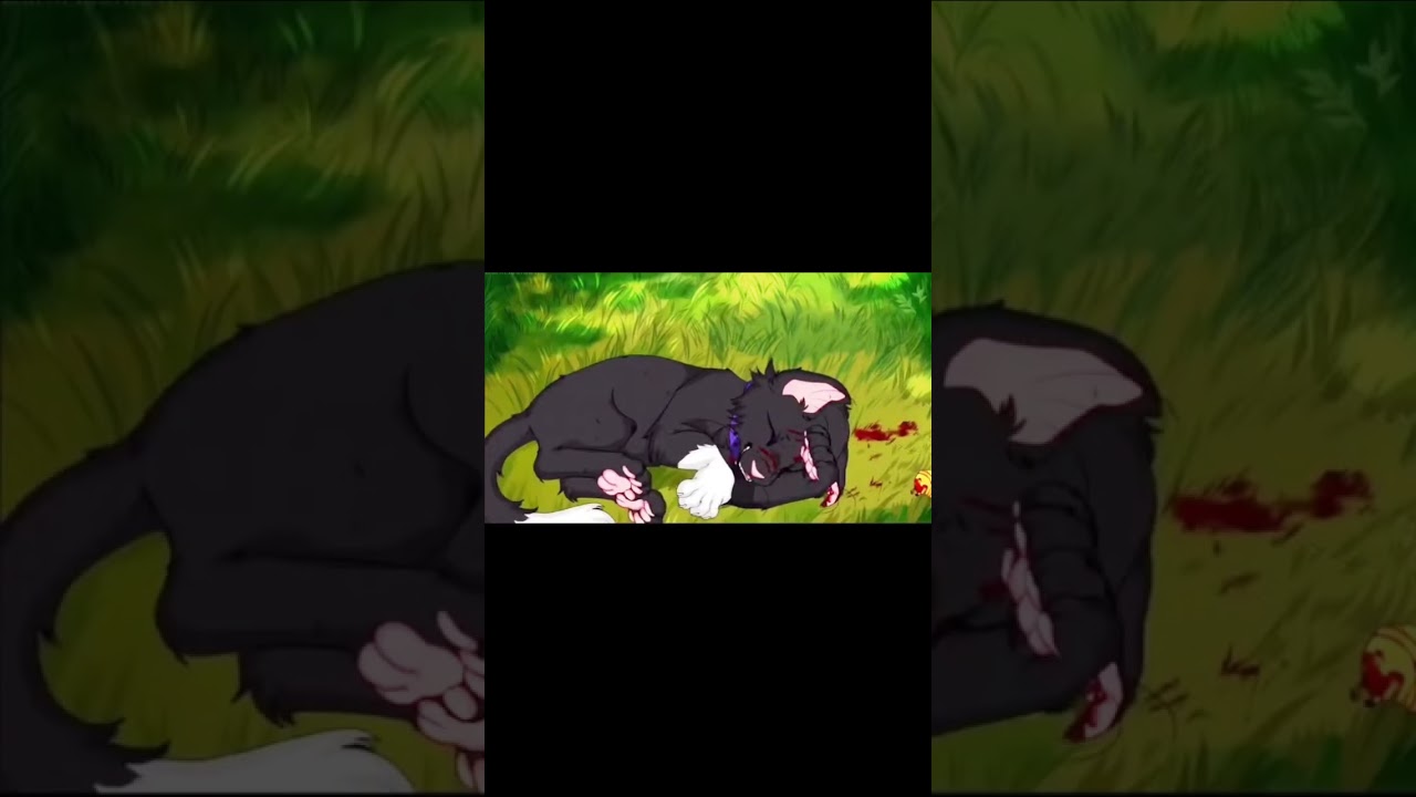 Warrior cats ⚠️blood warning ⚠️