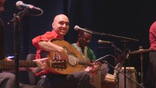 No Blues - Dutch Delta Sounds 2016