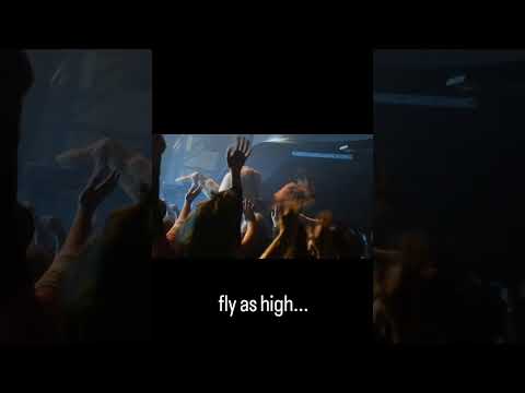 Flight of the Barbagianni