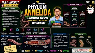 Phylum Annelida (Segmented Worms) Made Easy NCERT NEET Biology Animal Kingdom @bioneetimentor screenshot 5