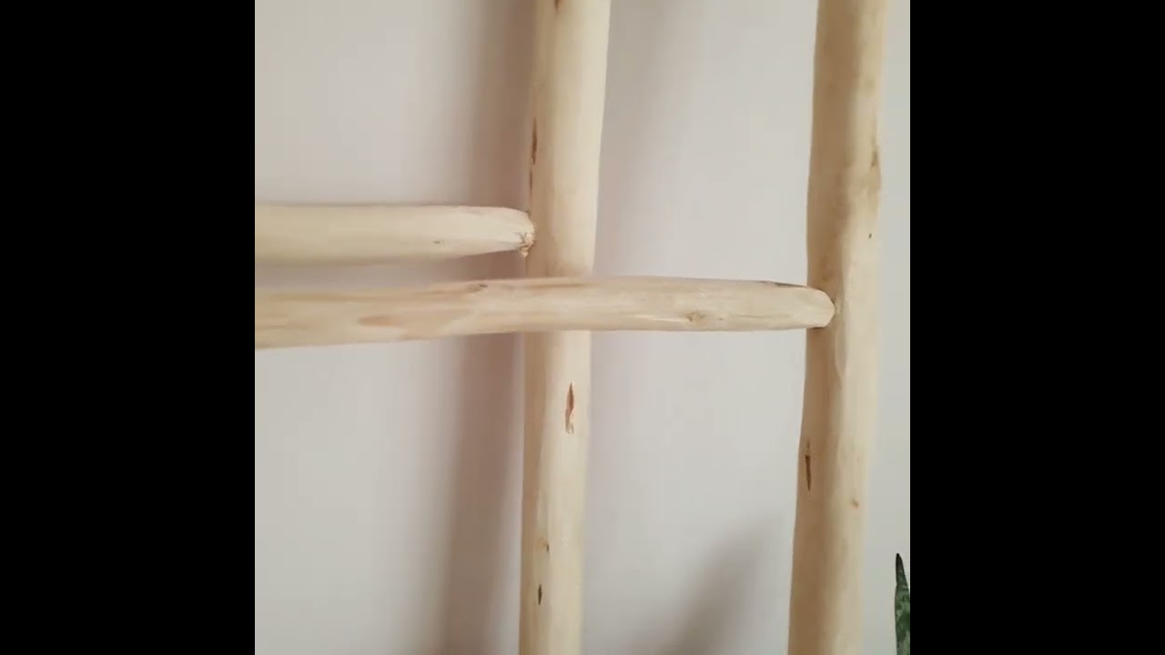 Echelle décorative Soukcircus