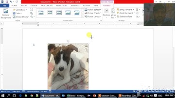 Winword Tutorials || How to insert picture in Ms Winword 2007, 2010, 2013 and 2016 By Niketank Mogha