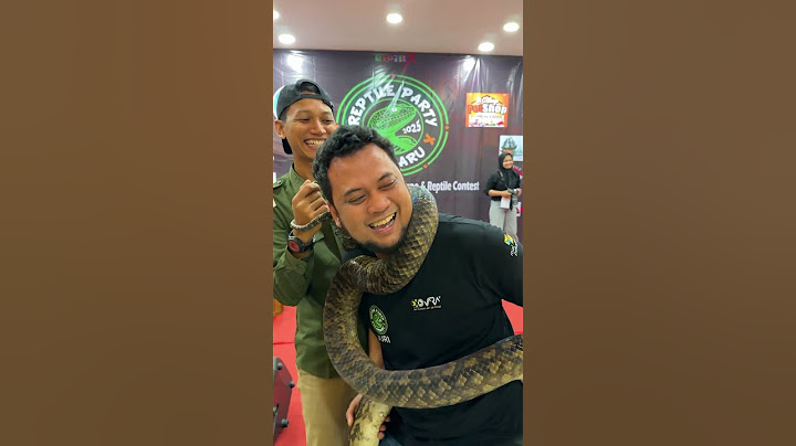 TUTORIAL CARA LEPAS LILITAN ULAR SANCA BESAR