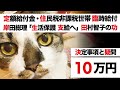 住民税非課税世帯に10万円給付 生活保護も支給決定【定額給付金 12/11最新・岸田総理 国会で言及】参議院代表質問 共産党 田村智子「収入認定 年金」【低所得世帯への困窮支援策】