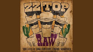 Gimme All Your Lovin' - ZZ Top