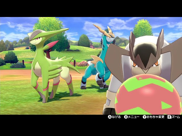 テラキオン・コバルオン・ビリジオンとキャンプで遊びます