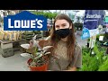 What Plants Are At Lowes??? | HousePlant Tour 2021
