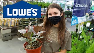 What Plants Are At Lowes??? | HousePlant Tour 2021