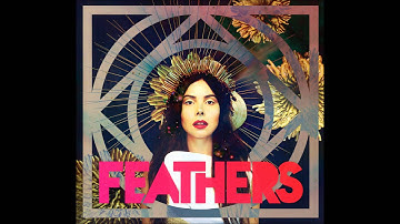 Feathers Dark Matter