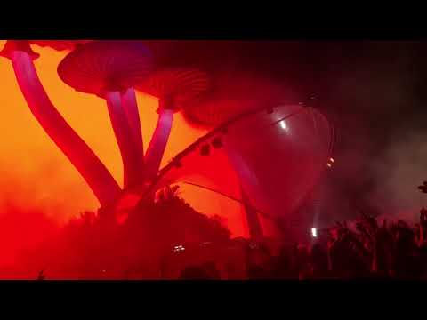 Stephan Bodzin | 'Sleepless' Remix | Tomorrowland 2018 W2