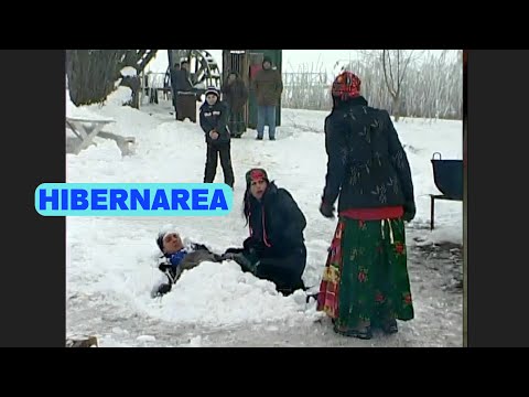 Video: Ce Este Hibernarea