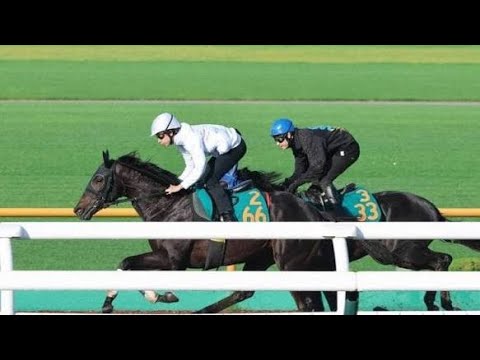 2006年 マイルチャンピオンシップ（GⅠ） | ダイワメジャー | JRA公式