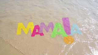 Download Lagu Final de Mamma Mia! Showtime cu Elena Gheorghe și Florian Rus! MP3