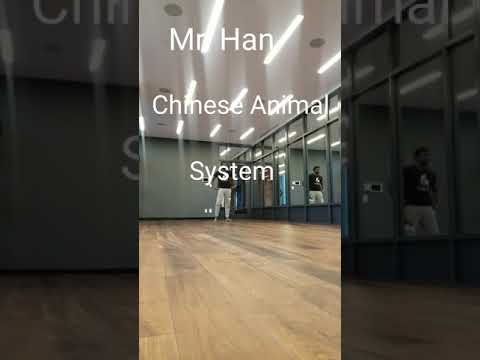 Locomotion Animal System