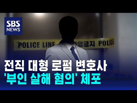 &quot;싸우다가&quot;…전직 대형 로펌 변호사, &#39;부인 살해 혐의&#39; 체포 / SBS