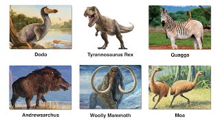Every Extinct Land Animal Explained