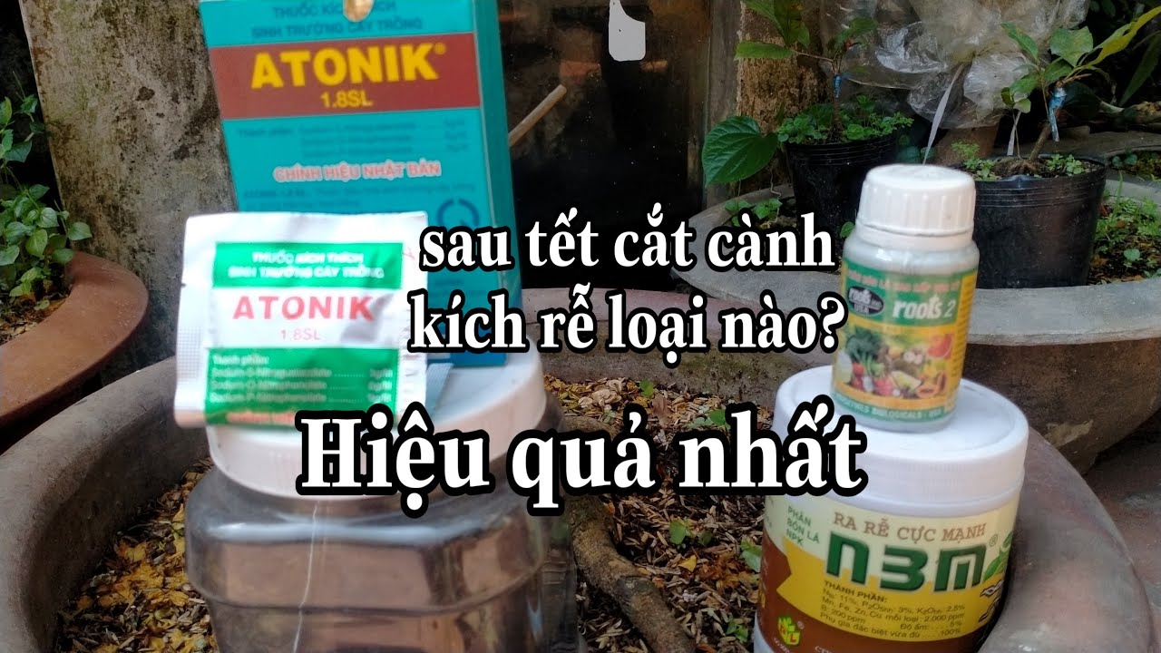 Sử dụng phân bón gì sau khi xã tàn, kích rễ loại nào tốt nhất