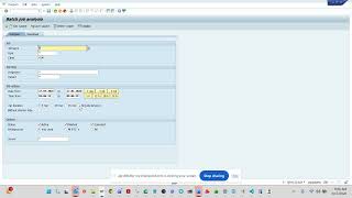 ANALYZE SAP BATCH JOBS WITH STEROIDS 
