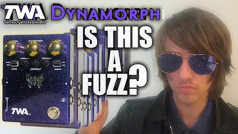 The TWA Dynamorph is one WEIRD fuzz/distortion.
