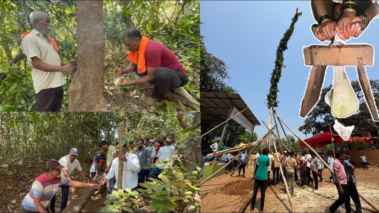 कोकणातील होळीचा पहिला दिवस! हरकुळ खुर्द गावातील 2026 ची होळी #smmalvani 