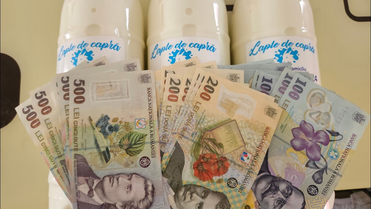 CÂȚI BANI CÂȘTIG DIN 10 CAPRE??FĂRĂ SĂ FAC BRÂNZĂ!