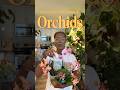 🌸Let&rsquo;s talk about Orchids!🌸 #orchid #plants