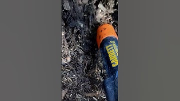 Garrett Pro pointer II works. #garrett