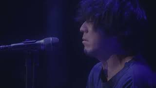 清水依与吏 - チェックのワンピース / from 『back number “anti sleeps tour 2024” at SAITAMA SUPER ARENA』
