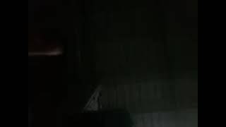 4 ตลาคม ค.ศ. 20241