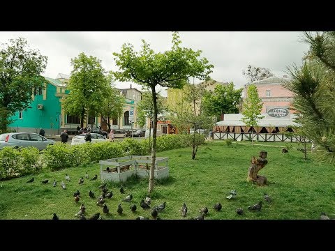 Видео: Создание городского сада камней в городе