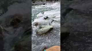 #beautyness of kashmir #1
