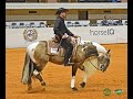 SHR QTS DIAMONDCUTTER shown by DANIEL SCHLOEMER   2020 APHA World Championships NRHA Nov  Horse