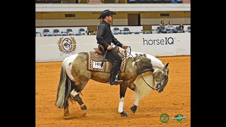 SHR QTS DIAMONDCUTTER shown by DANIEL SCHLOEMER   2020 APHA World Championships NRHA Nov  Horse