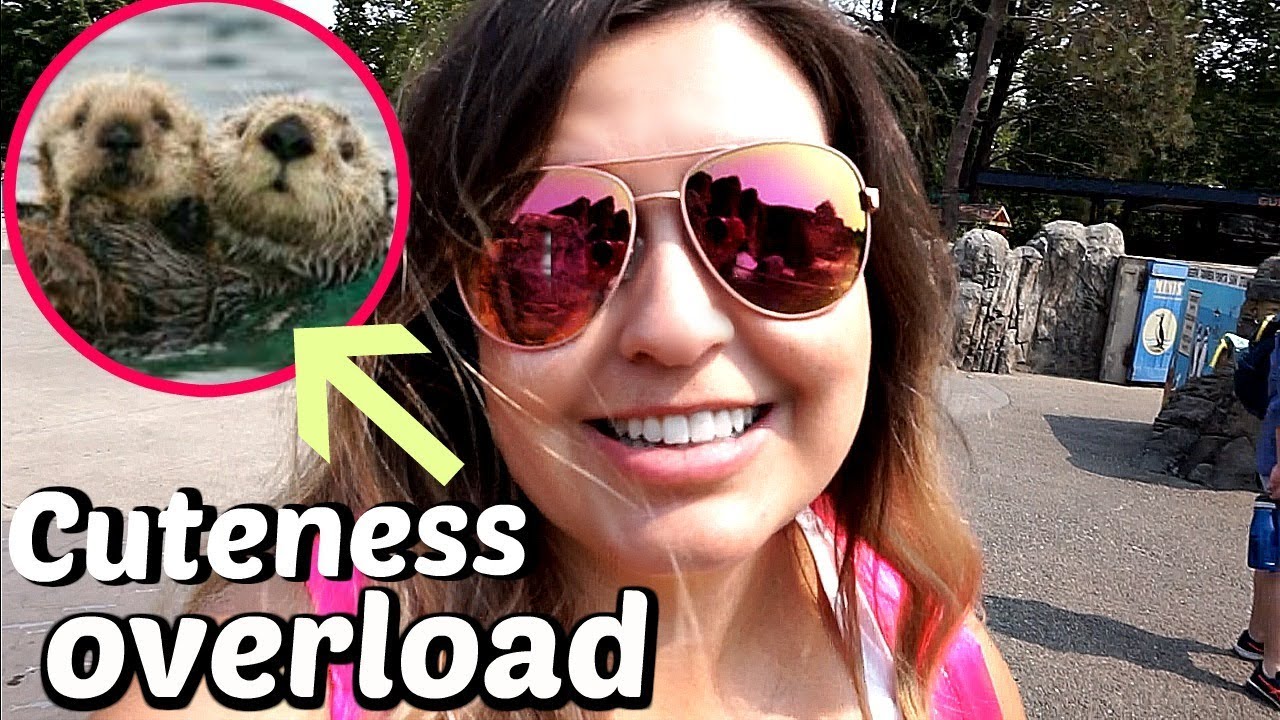 Birthday At The ZOO YouTube