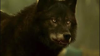 Hemlock Grove werewolf transformation