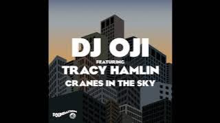 Dj Oji & Tracy Hamlin - Cranes in the Sky (DJ Oji Dubstrumental)