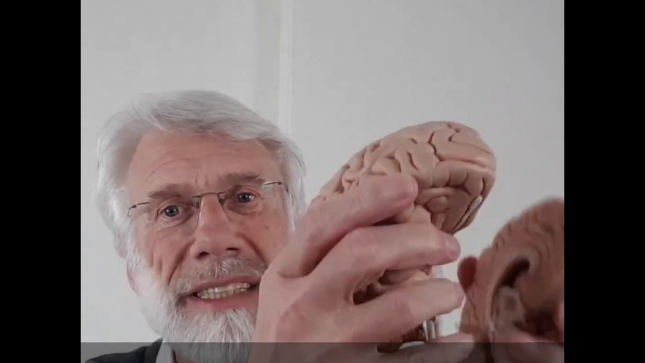 Hoogleraar Erik Scherder vertelt je de voordelen van het lopen van een ommetje.