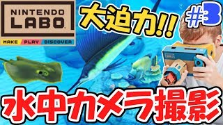 VRカメラで水中撮影!!海の中には魚がいっぱい!!ニンテンドーラボVRキット最速実況Part3【NintendoLabo】 screenshot 2