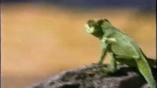 Jolly Rancher Commercial