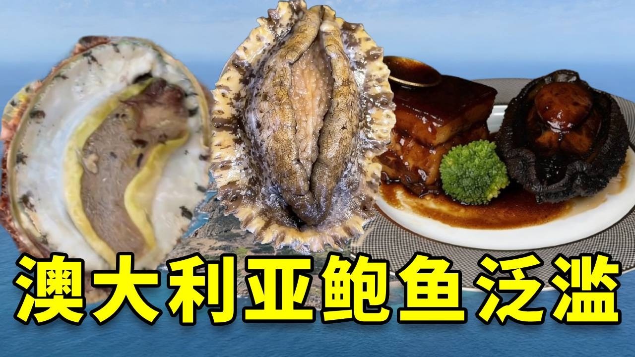 一年一遇的澳大利亚捕捞季到了，国内顶级食材竟然在澳洲泛滥成灾，我带女友火速赶往，一尝究竟 #大豪夫妇 #fishing #大魚 #戶外 #澳大利亚 #鲍鱼