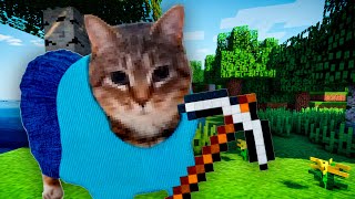 OIIAOIIA CAT MINECRAFT THEME REMIX