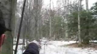 Die Hard Truth - Bigfoot Documentary Part 1