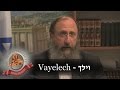 Weekly Torah Portion: Vayelech/Shabbat Shuva Message