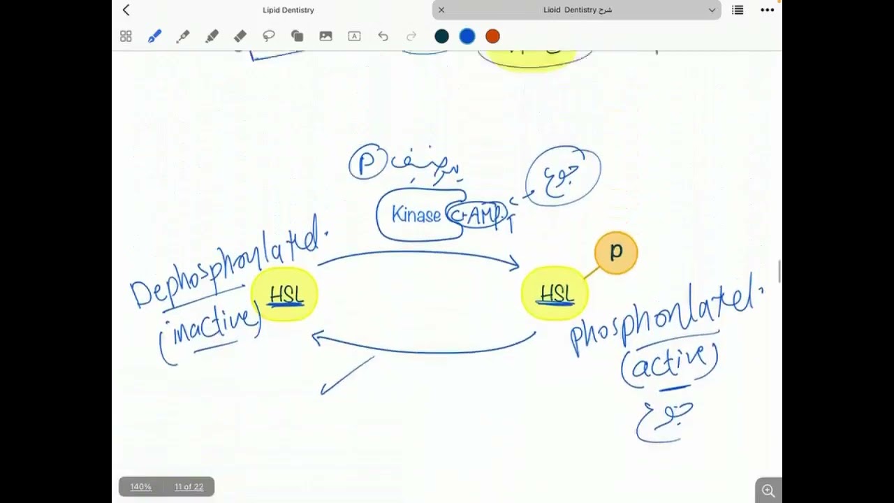 Lipid Metabolism   3